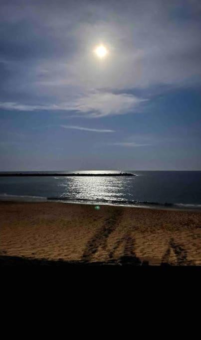 Studio Climatise Proche De Montpellier Et Des Plages Villeneuve-lès-Maguelonne Dış mekan fotoğraf
